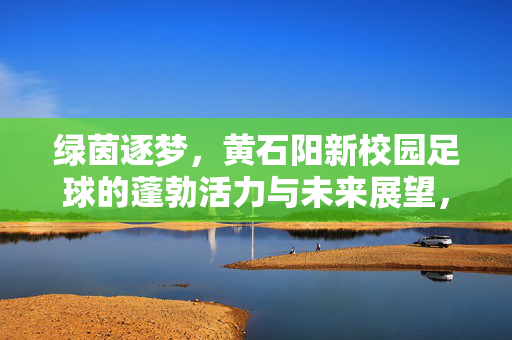 绿茵逐梦，黄石阳新校园足球的蓬勃活力与未来展望，绿茵逐梦，黄石阳新校园足球的蓬勃活力与未来展望