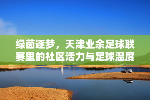绿茵逐梦，天津业余足球联赛里的社区活力与足球温度