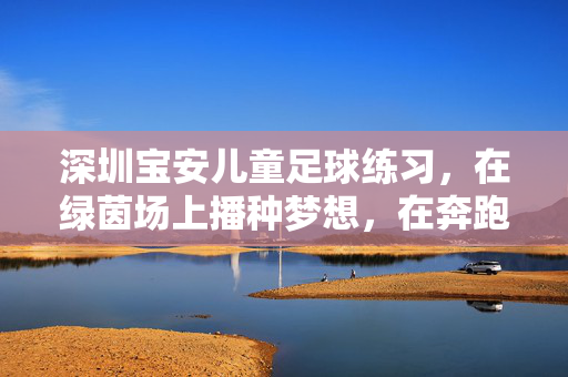 深圳宝安儿童足球练习，在绿茵场上播种梦想，在奔跑中收获成长，深圳宝安儿童足球练习，在绿茵场上播种梦想，在奔跑中收获成长