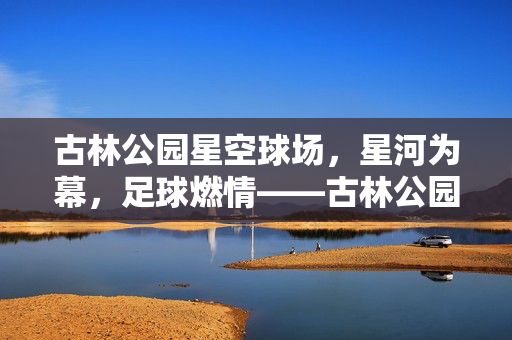 古林公园星空球场，星河为幕，足球燃情——古林公园里的夜色足球盛宴，古林公园星空球场，星河为幕，夜色燃情足球盛宴