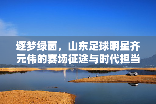 逐梦绿茵，山东足球明星齐元伟的赛场征途与时代担当，逐梦绿茵，山东足球明星齐元伟的赛场征途与时代担当