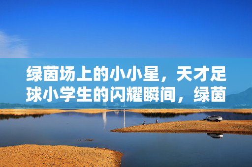 绿茵场上的小小星，天才足球小学生的闪耀瞬间，绿茵场上的小小星，天才足球小学生的闪耀瞬间