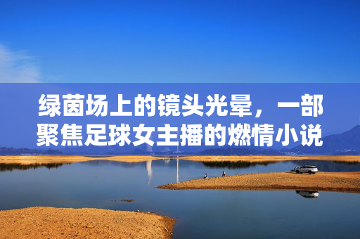 绿茵场上的镜头光晕，一部聚焦足球女主播的燃情小说，绿茵光晕下的足球女主播燃情小说