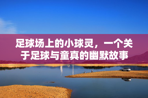 足球场上的小球灵，一个关于足球与童真的幽默故事