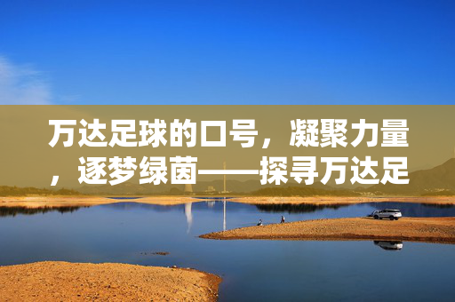 万达足球的口号，凝聚力量，逐梦绿茵——探寻万达足球的精神旗帜