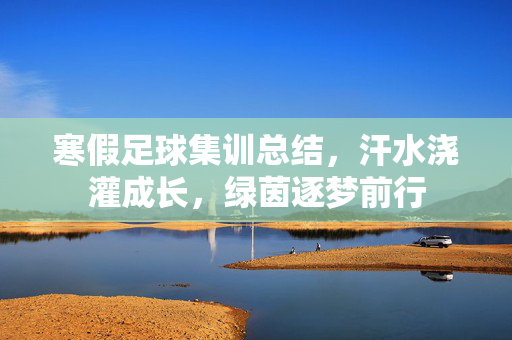 寒假足球集训总结，汗水浇灌成长，绿茵逐梦前行
