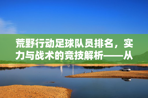 荒野行动足球队员排名，实力与战术的竞技解析——从个人能力到团队协作的排名逻辑