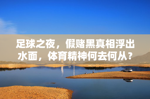 足球之夜，假赌黑真相浮出水面，体育精神何去何从？