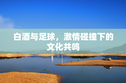 白酒与足球，激情碰撞下的文化共鸣