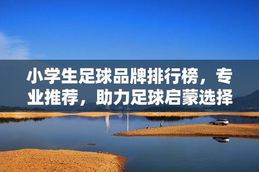 小学生足球品牌排行榜，专业推荐，助力足球启蒙选择