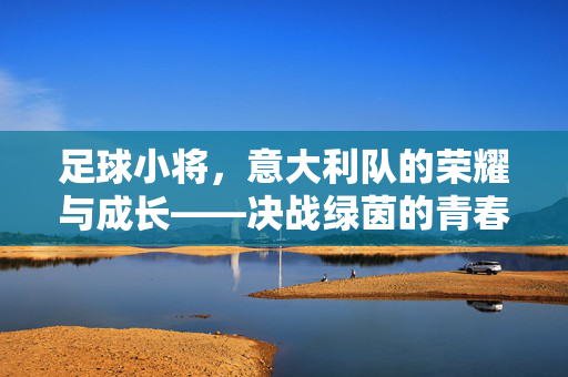 足球小将，意大利队的荣耀与成长——决战绿茵的青春史诗