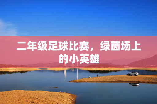 二年级足球比赛，绿茵场上的小英雄