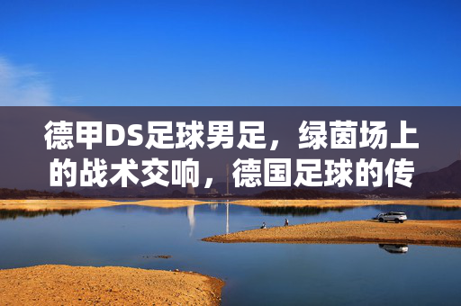 德甲DS足球男足，绿茵场上的战术交响，德国足球的传承与竞技魅力