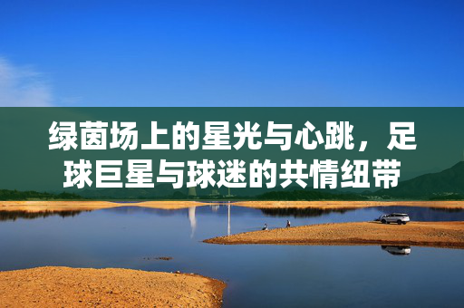 绿茵场上的星光与心跳，足球巨星与球迷的共情纽带