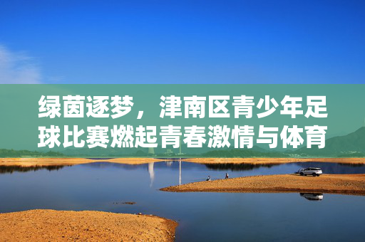 绿茵逐梦，津南区青少年足球比赛燃起青春激情与体育精神