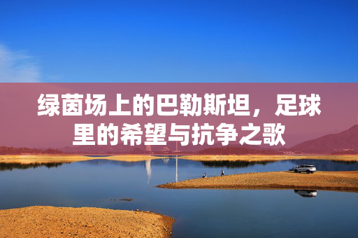 绿茵场上的巴勒斯坦，足球里的希望与抗争之歌