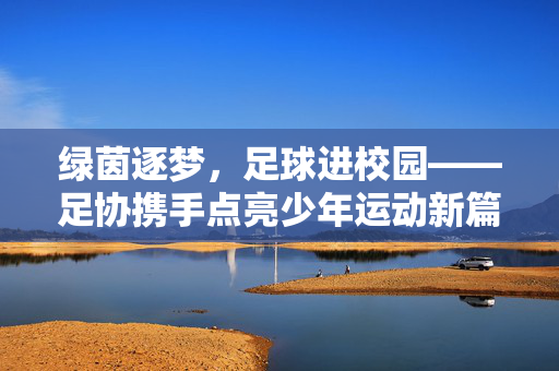 绿茵逐梦，足球进校园——足协携手点亮少年运动新篇章