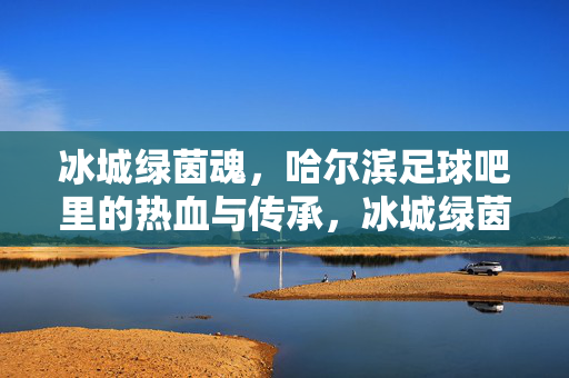 冰城绿茵魂，哈尔滨足球吧里的热血与传承，冰城绿茵魂，哈尔滨足球吧里的热血与传承