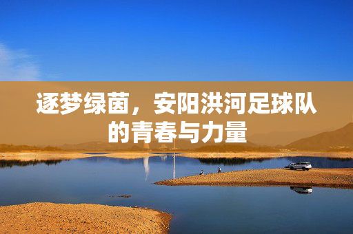 逐梦绿茵，安阳洪河足球队的青春与力量