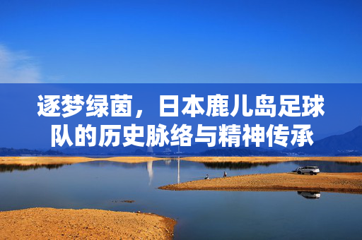 逐梦绿茵，日本鹿儿岛足球队的历史脉络与精神传承