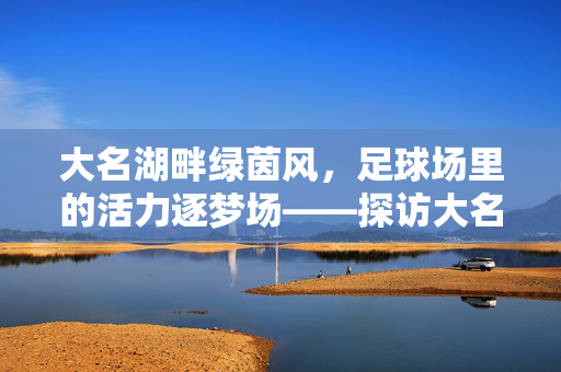 大名湖畔绿茵风，足球场里的活力逐梦场——探访大名湖公园足球场，大名湖畔绿茵风，足球场里的活力逐梦场——探访大名湖公园足球场
