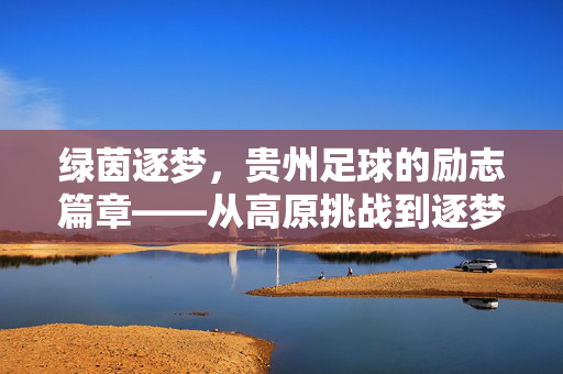 绿茵逐梦，贵州足球的励志篇章——从高原挑战到逐梦前行，绿茵逐梦，贵州足球的励志篇章——从高原挑战到逐梦前行