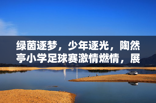 绿茵逐梦，少年逐光，陶然亭小学足球赛激情燃情，展现活力与担当，绿茵逐梦少年逐光陶然亭小学足球赛激情燃情展现活力与担当