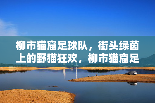 柳市猫窟足球队，街头绿茵上的野猫狂欢，柳市猫窟足球队，街头绿茵上的野猫狂欢