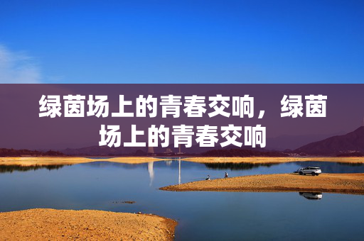 绿茵场上的青春交响，绿茵场上的青春交响