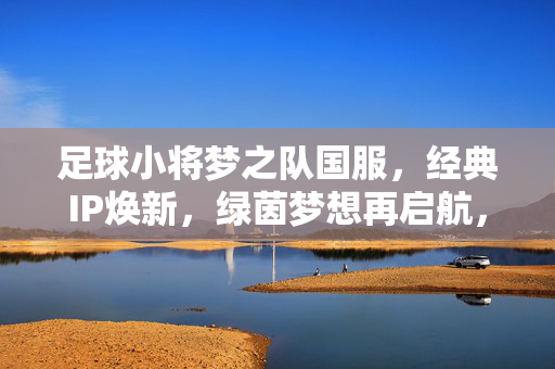 足球小将梦之队国服,经典IP焕新,绿茵梦想再启航,足球小将梦之队国服,经典IP焕新,绿茵梦想再启航