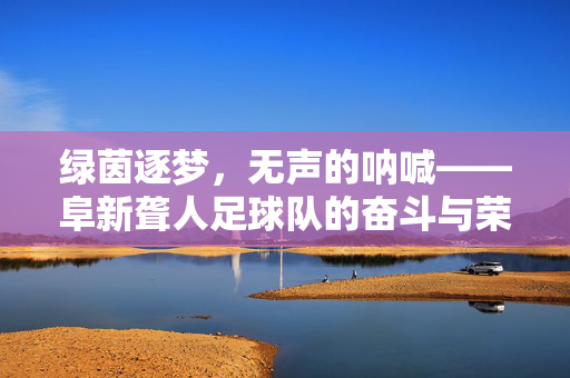 绿茵逐梦，无声的呐喊——阜新聋人足球队的奋斗与荣光，绿茵逐梦，无声的呐喊——阜新聋人足球队的奋斗与荣光