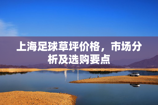 上海足球草坪价格，市场分析及选购要点