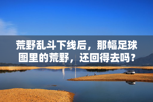 荒野乱斗下线后，那幅足球图里的荒野，还回得去吗？荒野乱斗下线后，那幅足球图里的荒野，还回得去吗？