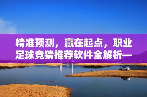 精准预测，赢在起点，职业足球竞猜推荐软件全解析——助你掌握足球比赛动态，提升竞猜胜率
