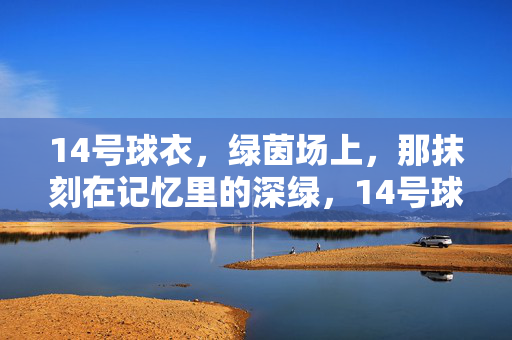 14号球衣，绿茵场上，那抹刻在记忆里的深绿，14号球衣，绿茵场上那抹刻在记忆里的深绿