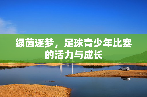 绿茵逐梦，足球青少年比赛的活力与成长