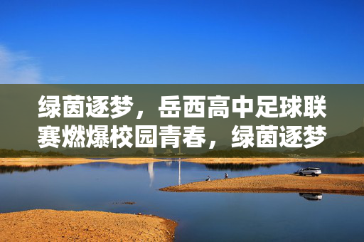 绿茵逐梦，岳西高中足球联赛燃爆校园青春，绿茵逐梦，岳西高中足球联赛燃爆校园青春