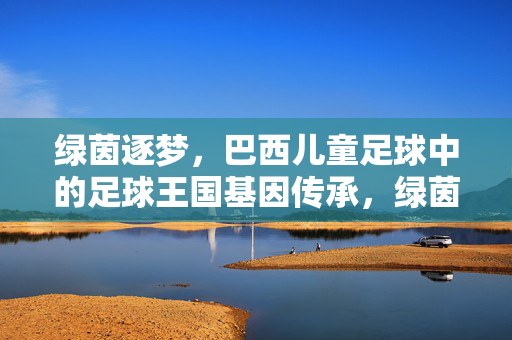 绿茵逐梦，巴西儿童足球中的足球王国基因传承，绿茵逐梦，巴西儿童足球中的足球王国基因传承