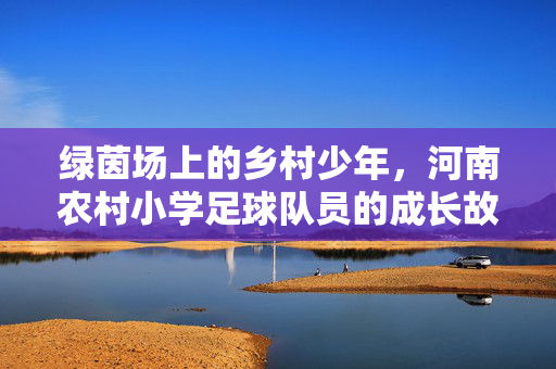 绿茵场上的乡村少年，河南农村小学足球队员的成长故事，绿茵场上的乡村少年，河南农村小学足球队员的成长故事