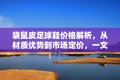 袋鼠皮足球鞋价格解析，从材质优势到市场定价，一文看懂不同价位的选择