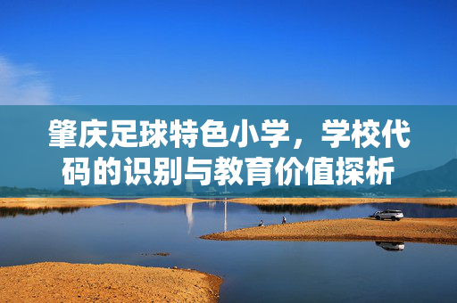 肇庆足球特色小学,学校代码的识别与教育价值探析