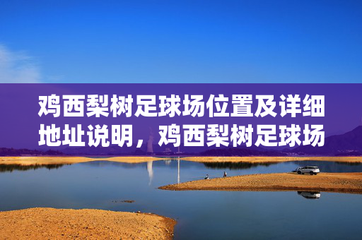 鸡西梨树足球场位置及详细地址说明，鸡西梨树足球场位置及详细地址说明