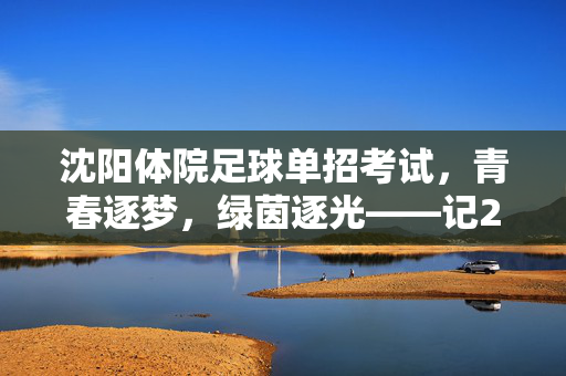 沈阳体院足球单招考试，青春逐梦，绿茵逐光——记202X年沈阳体育学院足球专业单招选拔现场，青春逐梦，绿茵逐光，记202X年沈阳体育学院足球专业单招选拔现场