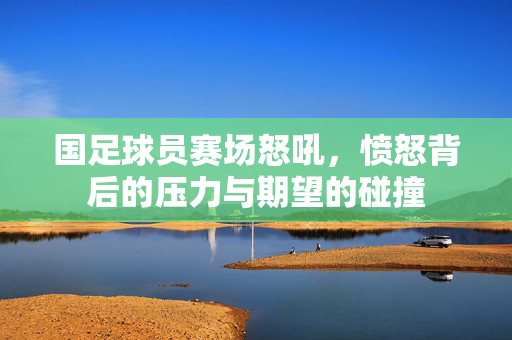 国足球员赛场怒吼，愤怒背后的压力与期望的碰撞