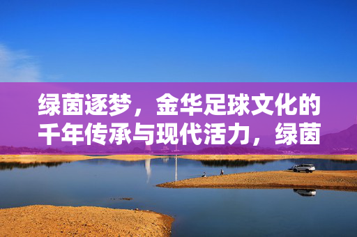 绿茵逐梦，金华足球文化的千年传承与现代活力，绿茵逐梦，金华足球文化的千年传承与现代活力