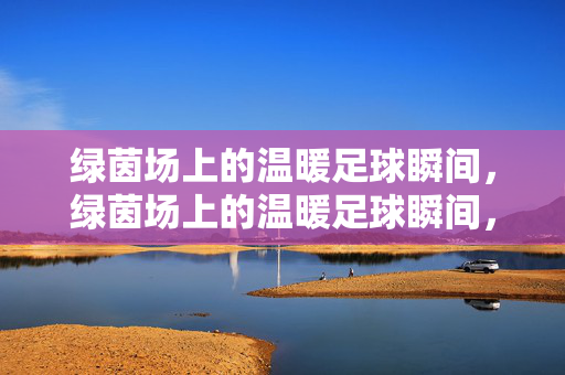 绿茵场上的温暖足球瞬间，绿茵场上的温暖足球瞬间，那些触动心弦的体育温情