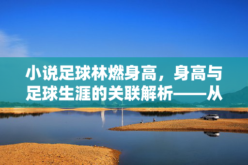小说足球林燃身高，身高与足球生涯的关联解析——从数据到故事的多维解读，足球林燃身高与足球生涯的关联解析，从数据到故事的多维解读