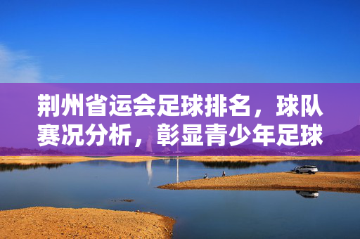 荆州省运会足球排名，球队赛况分析，彰显青少年足球发展新活力，荆州省运会足球排名及赛况分析，彰显青少年足球发展新活力