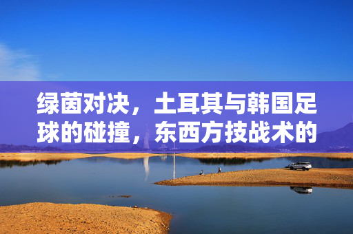 绿茵对决，土耳其与韩国足球的碰撞，东西方技战术的精彩博弈，绿茵对决，土耳其与韩国足球的碰撞，东西方技战术的精彩博弈