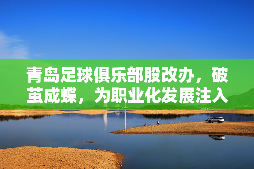 青岛足球俱乐部股改办，破茧成蝶，为职业化发展注入新动能，青岛足球俱乐部股改办，破茧成蝶，为职业化发展注入新动能